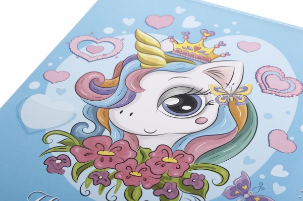 Дневник SD1612 167х211 мм 48 листов Bourgeois