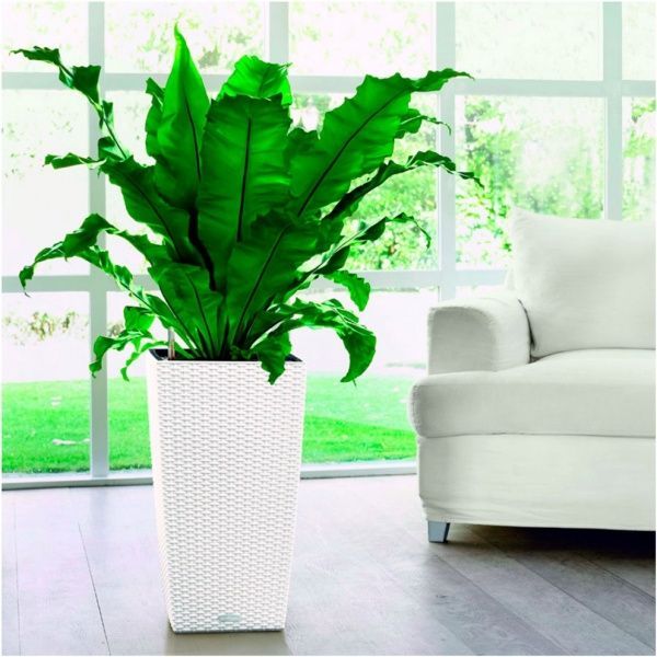 Вазон пластиковый Lechuza Cubico Cottage 30 квадратный 50,1л белый (15226) 