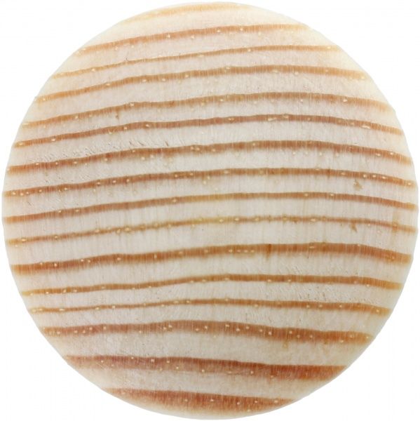 Заглушка деревянная D 20 уп. 5 шт.