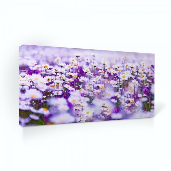 Репродукция Поле ромашек. Daisies 96x48 см i_96x48_00058 