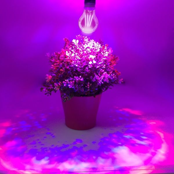 Лампа светодиодная для роста растений LightMaster LB-661 8 Вт E27 160 В прозрачная 