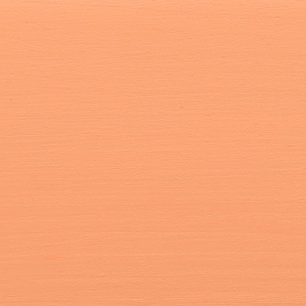 Краска Bionic House укрывная Pastel Wood Color Р206 коралл шелковистый глянец 0,8 л