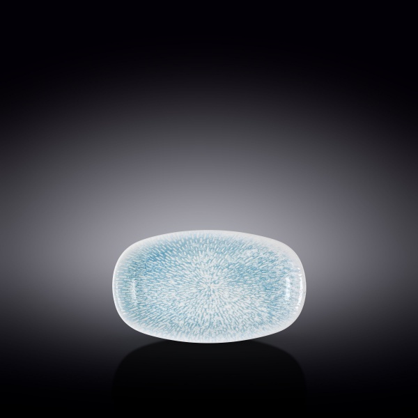 Блюдо овальне Coral Blue Graphics 25x15 см WL-671643 / A Wilmax 
