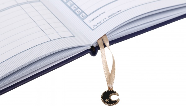 Дневник SD1613 167х211 мм 48 листов Bourgeois