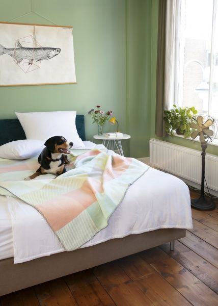 Плед Gamble 150x200 см мульти Wohndecke 