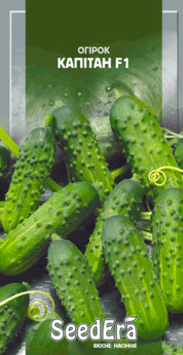 Насіння Seedera огірок Капітан F1 10 шт.