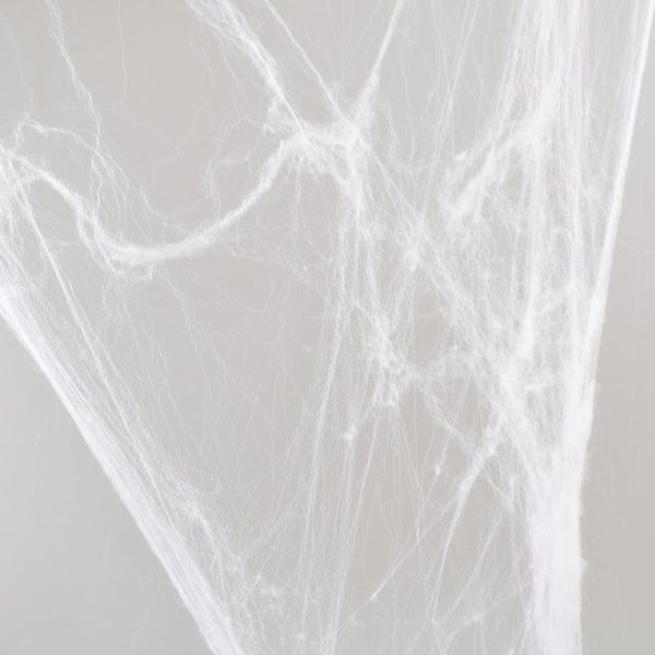 Набор декоративный Паутина белая с двумя паучками 40 г 973370 YES