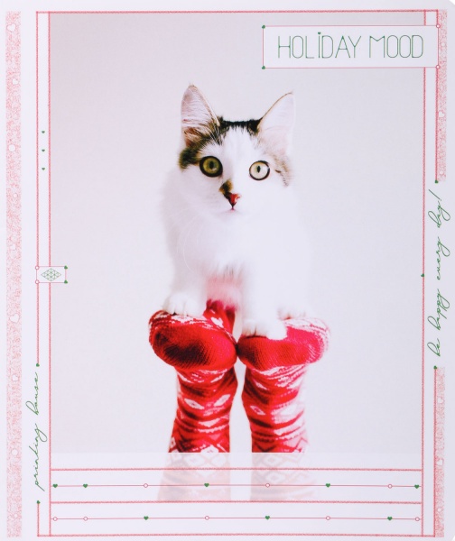 Тетрадь школьная Tadward коса