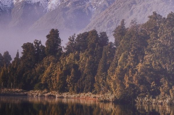 Репродукция Новая Зеландия 113x85 см Styler 