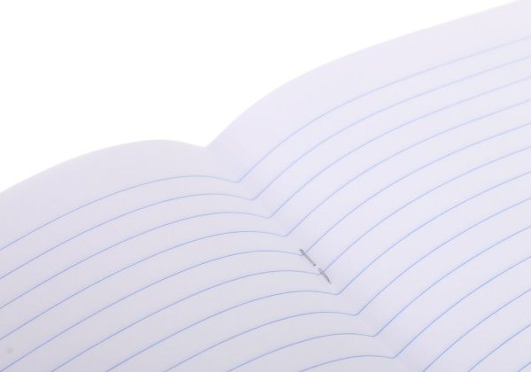 Тетрадь школьная 24 листа в линию Nota Bene