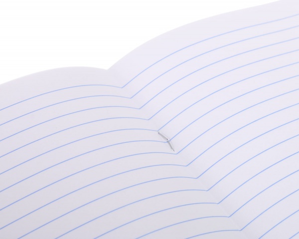 Тетрадь школьная cat 24 листа линия черный