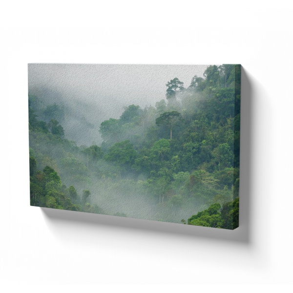 Картина на холсте Лес в тумане 110x70 см WS Holst 14082227,2 