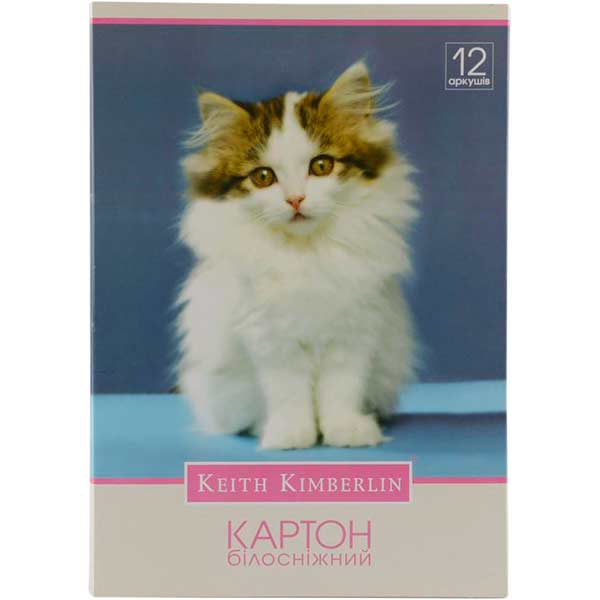 Картон А4 12 листов белоснежный