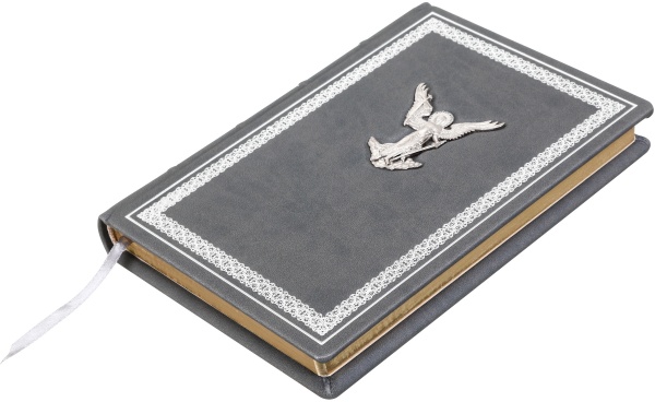 Щоденник недатований Ангел Купола A5 0304001066к