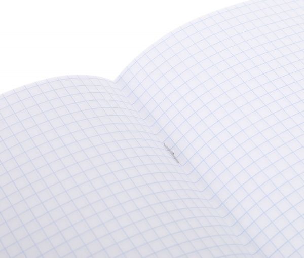 Тетрадь школьная Cat 24 листов клетка 2 Мечты сбываются