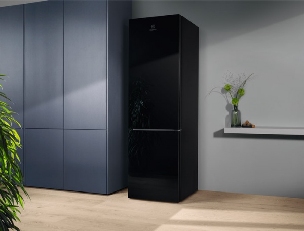 Холодильник Electrolux RNT7ME34K1