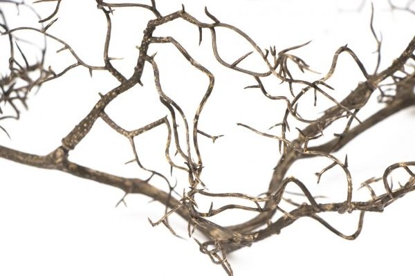 Веточка декоративная коричневая, 170258 16х11х 162 см 