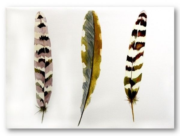 Картина Пір'я коричневе AQUA-8 50x70 см ЕО172 