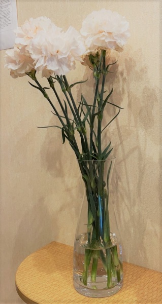 Ваза скляна Bud 26 см прозора 