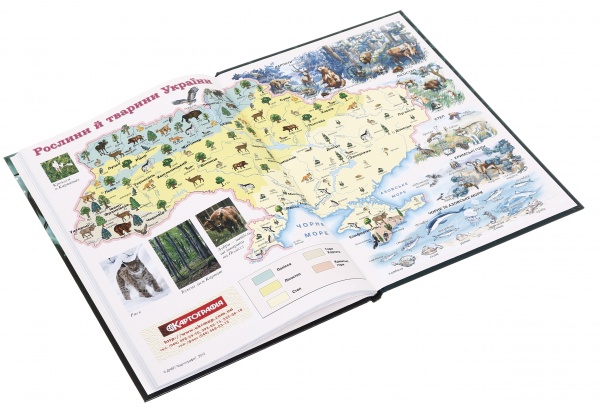 Дневник школьный в твердом переплете серия Мавка лесная песня 1 Nota Bene