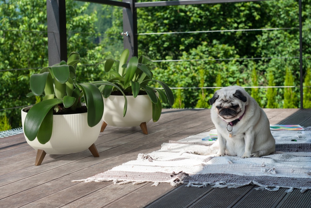 Вазон пластик ROMA jumper круглий бежевий 9,3 л Ламела (9889570)