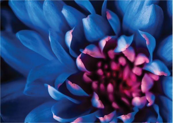 Декор настенный Цветок синий 42x59,4 см синий 