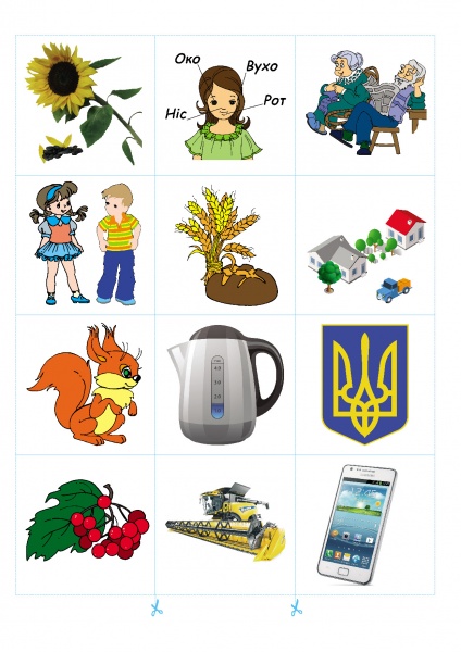 Набор Виктор Гудзь «Найди пару. Memory (5 лет)» 978-966-944-041-9