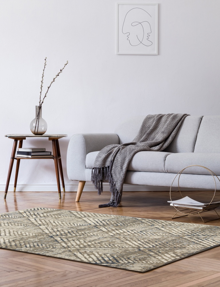 Килим Oriental Weavers NORWAY (2933/ZC4-V) 80x120 см