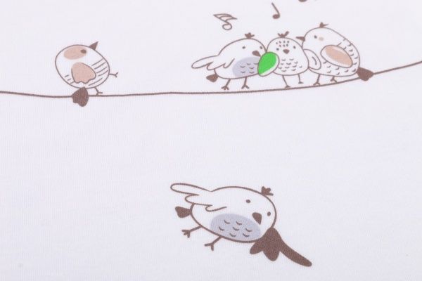 Боді дитяче унісекс Baby Veres Funy sparrows суцільний р.78 молочний 