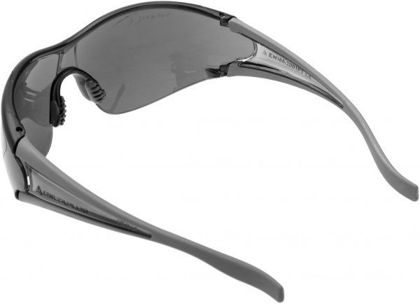 Очки защитные Delta Plus EGONGRFU