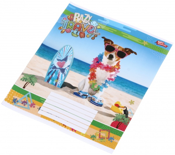 Тетрадь школьная с глитером 12 листов в клеточку в ассортименте Мечты сбываются