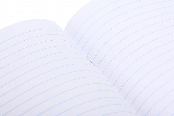 Тетрадь школьная с глитером 18 листов в линейку в ассортименте Мечты сбываются