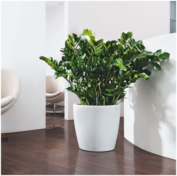 Вазон пластиковый Lechuza Classico Premium LS 43 круглый 27,9л белый 