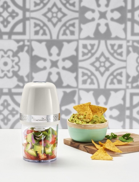 Измельчитель Moulinex Soleil Mini DJ360A10 