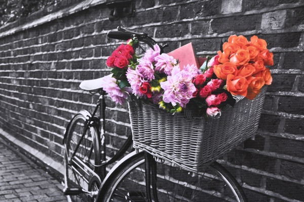 Репродукція 60х80 см AF20110827 Bicycles 171C03 RozenfeldArt 