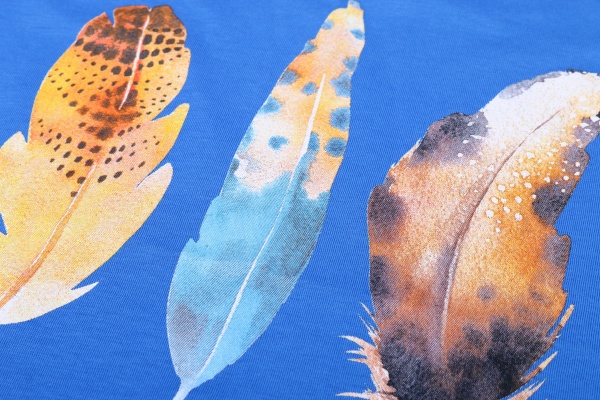 Футболка для мальчиков Luna Kids Feather р.140 синий 