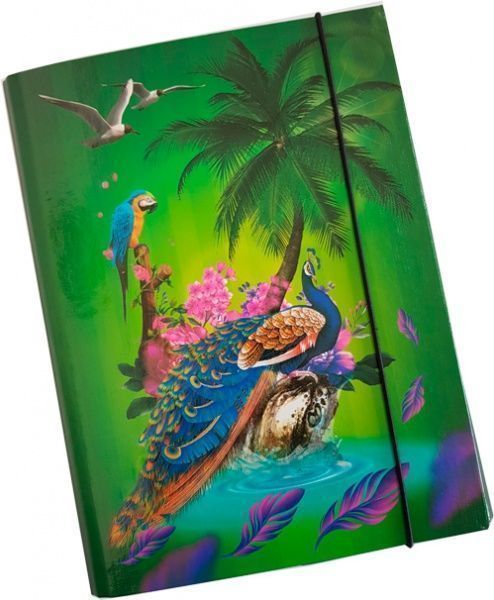 Папка для тетрадей Птицы 312R\PT iTEM