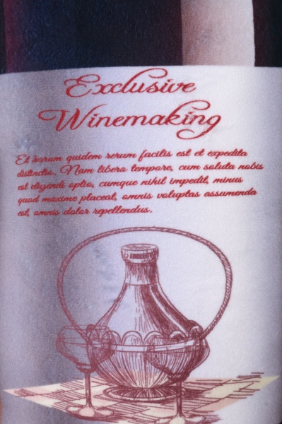 Подушка декоративная Бутылка 50 Stip 