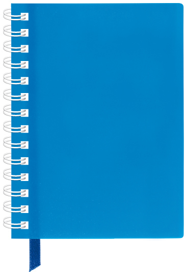 Блокнот А6 спираль 60 листов ячейка E20249 Economix