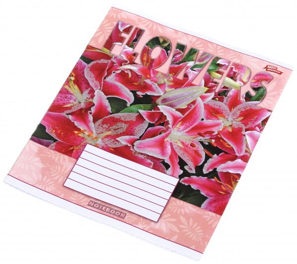 Тетрадь школьная с глитером 18 листов в клеточку в ассортименте Мечты сбываются