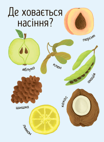 Книга Инна Конопленко «Як виростає дерево» 9789667488291