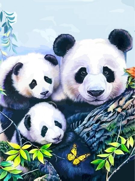 Полотно на картоні з контуром Панди 30x40 см Rosa Start 