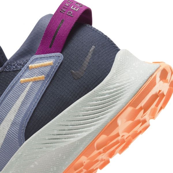 Кросівки Nike Nike Pegasus Trail 2 CK4309-401 р.US 6,5 блакитний