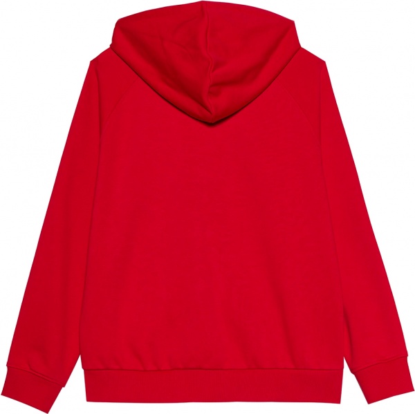 Джемпер 4F SWEATSHIRT F0866 4FSS23TSWSF0866-62S р. L красный