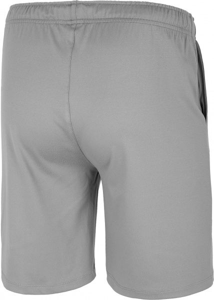 Шорты 4F NOSH4-SKMF003-25S р. S серый