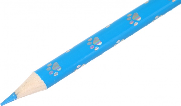 Олівці кольорові Лапки кошеняти 12 шт. в тубусі Nota Bene kids