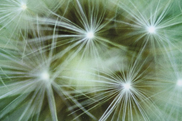 Килимок New Way Velvet DD-241 45x75