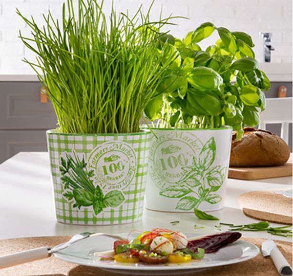 Кашпо керамічне Scheurich Herbs Farmers круглий 1,35л різнокольоровий 