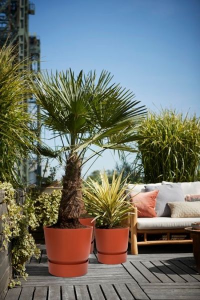 Вазон пластиковый Elho greenville round 25 см круглый терракот (8711904332532) 