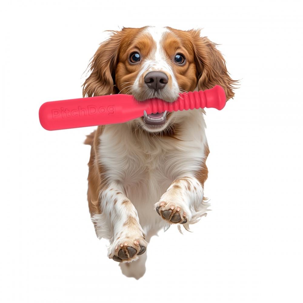 Іграшка для собак PitchDog біта для апортування 35 см рожева